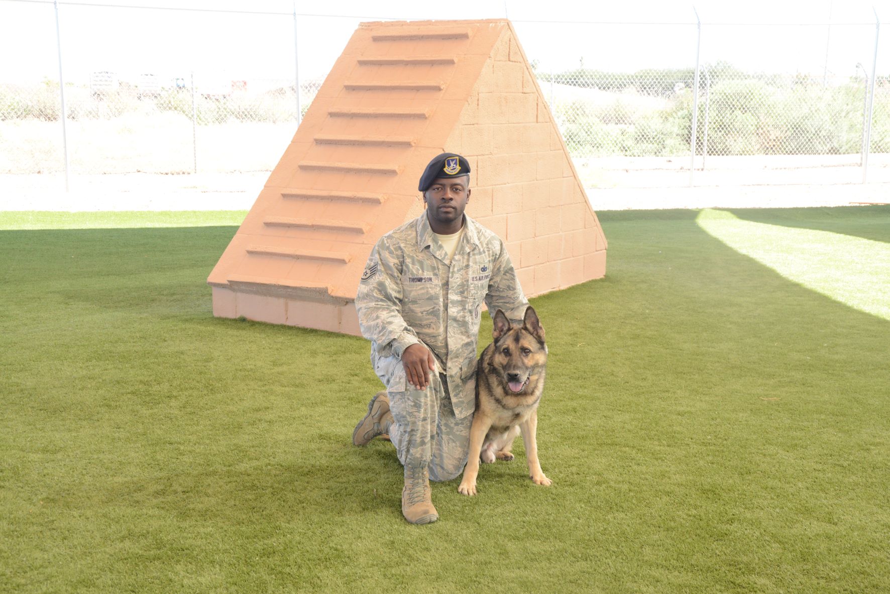 Working dog training
